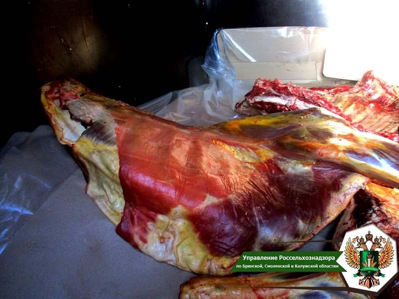 На брянской дороге «отловили» 200 кг сомнительной говядины