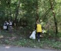 В первый осенний субботник с улиц Брянска вывезли 760 кубометров мусора — горадминистрация