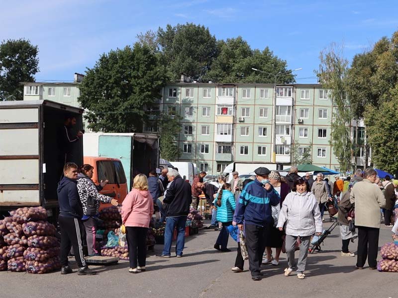 Жители Брянска на субботней ярмарке прикупили более 20 тонн картофеля. По нереальным ценам
