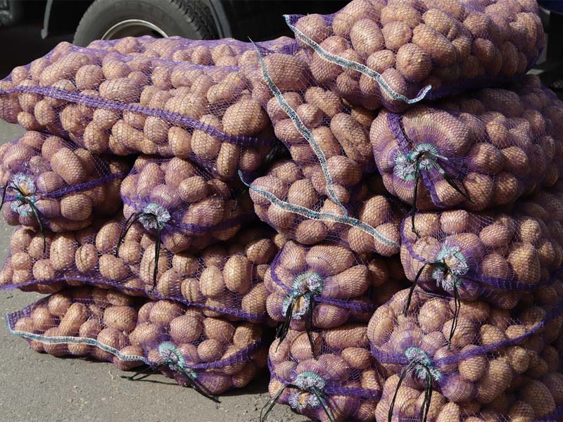 Жители Брянска на субботней ярмарке прикупили более 80 тонн картофеля
