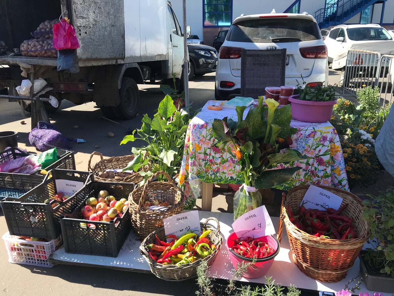 Осенние закупки пошли на спад — жители Брянска на субботней ярмарке прикупили около 75 тонн овощей и фруктов