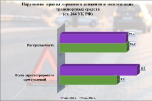 Больше восьми десятков ДТП на брянских дорогах в этом году признаны преступлениями