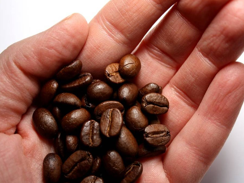 Брянская полиция задержала промышлявшего в магазинах рецидивиста-кофемана из Подмосковья
