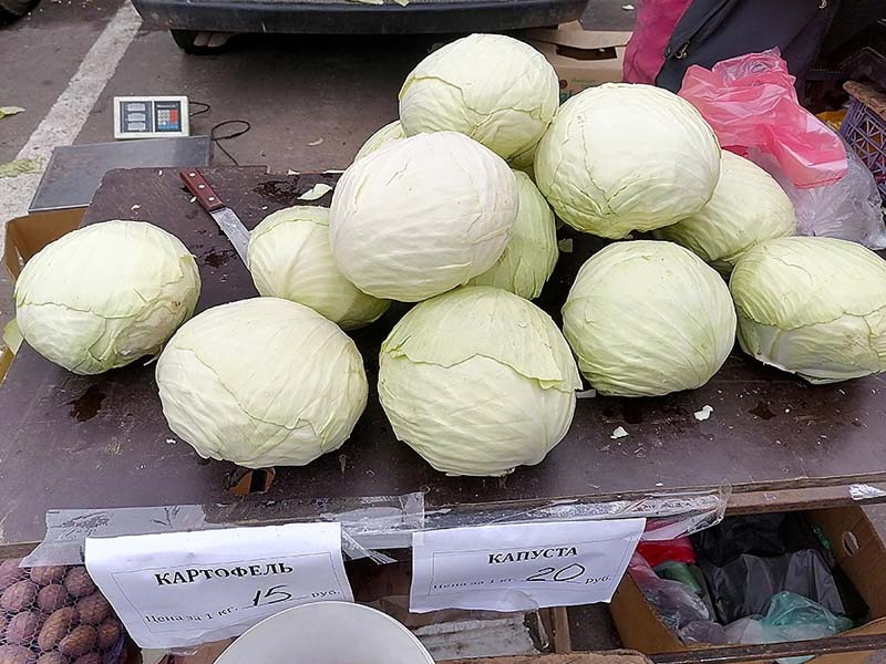 На ярмарках выходного дня в Брянске выросли продажи капусты