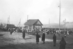 Брянским следователям поручено извлечь с территории Dulag 142 останки жертв нацистских карателей