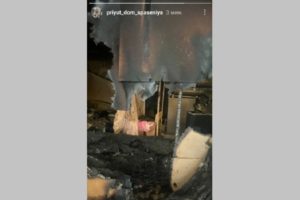 Неизвестные подожгли волонтёрский приют в пригороде Брянска. Сгорели заживо более полусотни животных