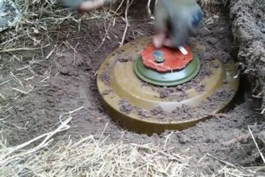 На брянском участке границы подорвался на мине нарушитель с украинской стороны — Богомаз