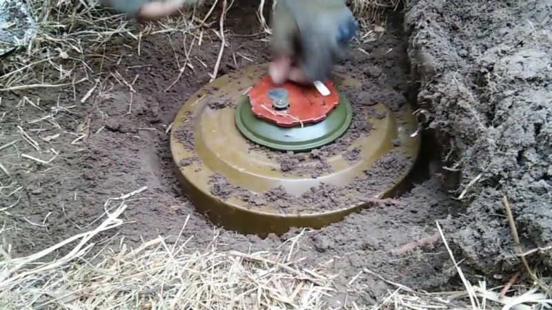 Мобилизованный военнослужащий подорвался на мине в Брянской области – ASTRA
