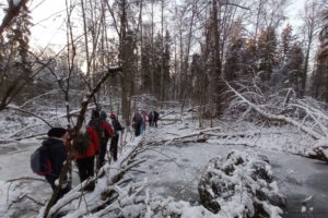 Брянский городской турклуб «Пилигрим» со 2 ноября открывает Школу начальной туристической подготовки