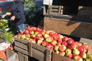 Жители Брянска на субботних ярмарках «добирают» картошку, свеклу и яблоки