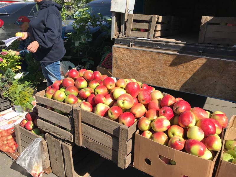 Жители Брянска на субботних ярмарках «добирают» картошку, свеклу и яблоки