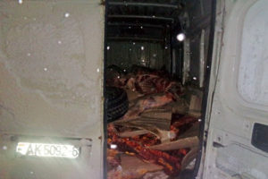 В Брянской области «отловили» тонну сомнительной говядины из Белоруссии
