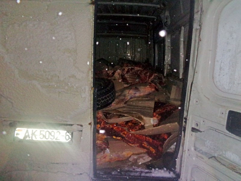 В Брянской области «отловили» тонну сомнительной говядины из Белоруссии