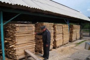 Из Брянской области ушло на экспорт около 250 тыс. тонн «подконтрольной» продукции