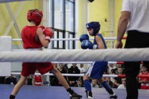 В Брянске стартовали областные соревнования по боксу