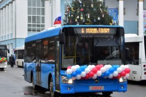 Чем больше автобусов, тем хуже работает брянский транспорт: междугородние рейсы возвращаются только с 10 января