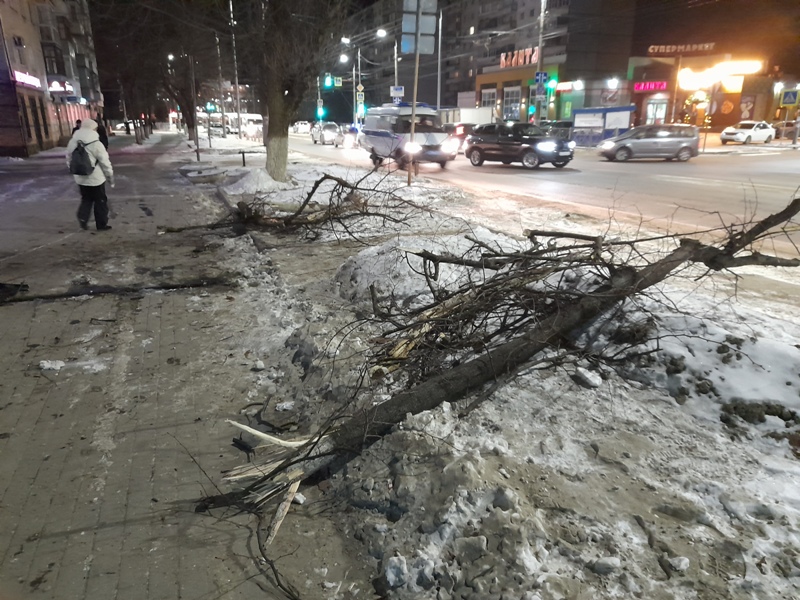Легковой автомобиль снёс дерево на оживлённой улице в Брянске