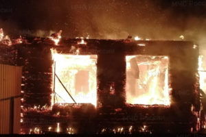 С начала года в пожарах в Брянской области погибли 8 человек