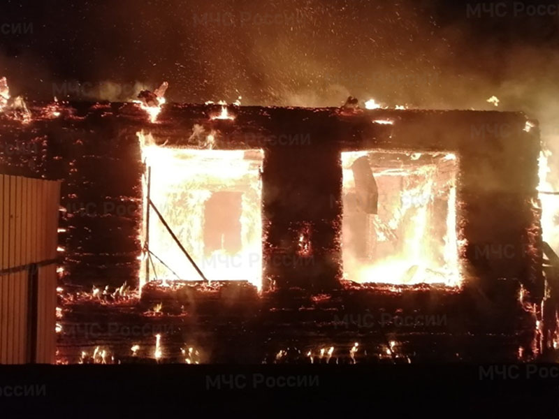 Пожары в Брянской области унесли с начала года жизни 17 человек