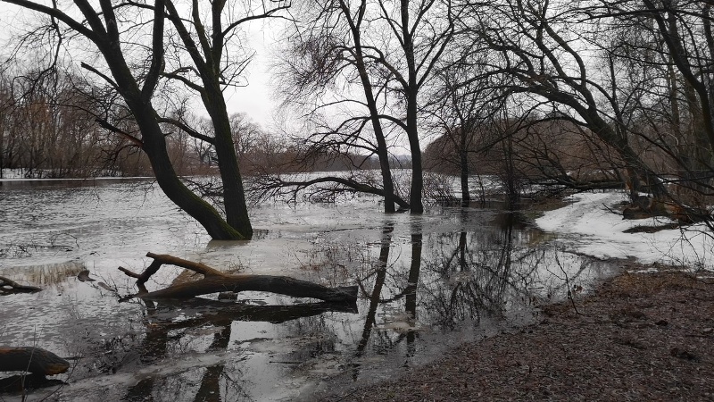 Новогодний паводок в Брянске: уровень воды в Десне поднялся на 2,5 метра