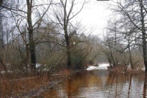 Морозы не остановили зимний паводок: Десна в Брянске поднялась уже больше, чем на три метра