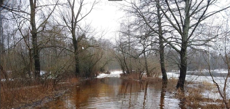 Морозы не остановили зимний паводок: Десна в Брянске поднялась уже больше, чем на три метра