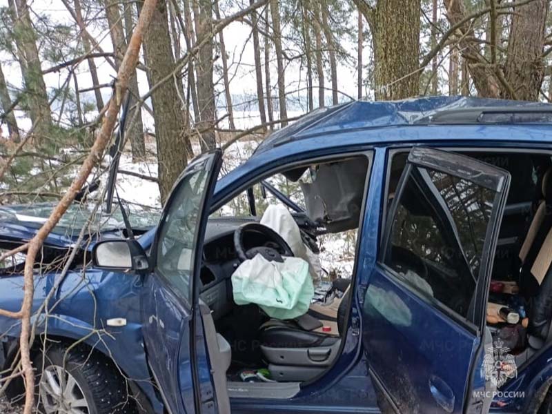 В ДТП под Новозыбковом пьяный 22-летний водитель угробил двоих пассажиров