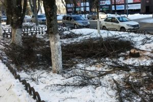 На ремонтируемой улице Куйбышева произвели санитарную рубку деревьев