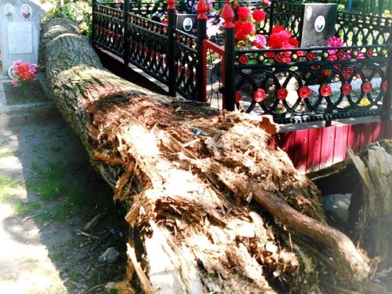 Власти Брянска должны будут возместить ущерб за памятник, разбитый упавшим на кладбище деревом
