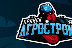 Кубок Брянской области по мини-футболу выиграли «Бобры»