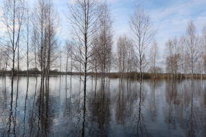 В Брянской области затоплено более 50 огородов и три участка дорог