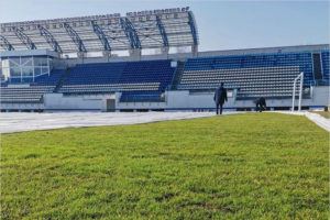 Газон брянского стадиона «Динамо» готов к возобновлению сезона