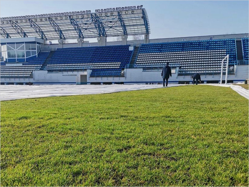 Газон брянского стадиона «Динамо» готов к возобновлению сезона