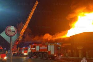 Прокуратура «взяла под контроль» ликвидацию пожара в Новых Дарковичах под Брянском