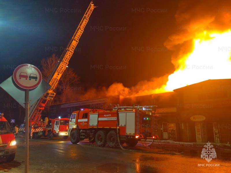 Прокуратура «взяла под контроль» ликвидацию пожара в Новых Дарковичах под Брянском