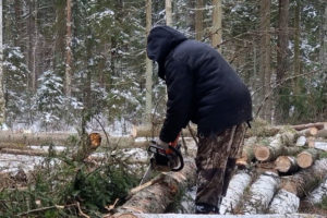 Жительница Брянска, инженер по лесопользованию, «нарубила дров» на 14,4 млн. рублей