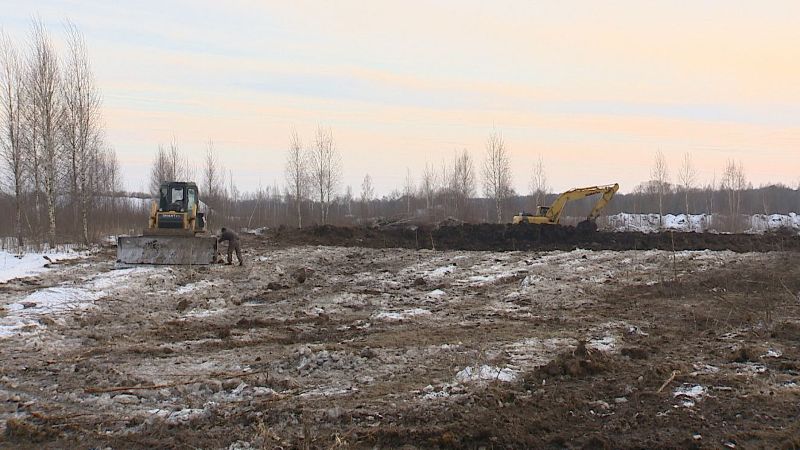 Уничтожение Тенишевского луга под Брянском возобновилось через четыре года после первой попытки