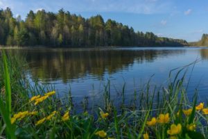 Жертвой паводка и бесхозяйственности стало озеро на границе Жуковского и Брянского районов