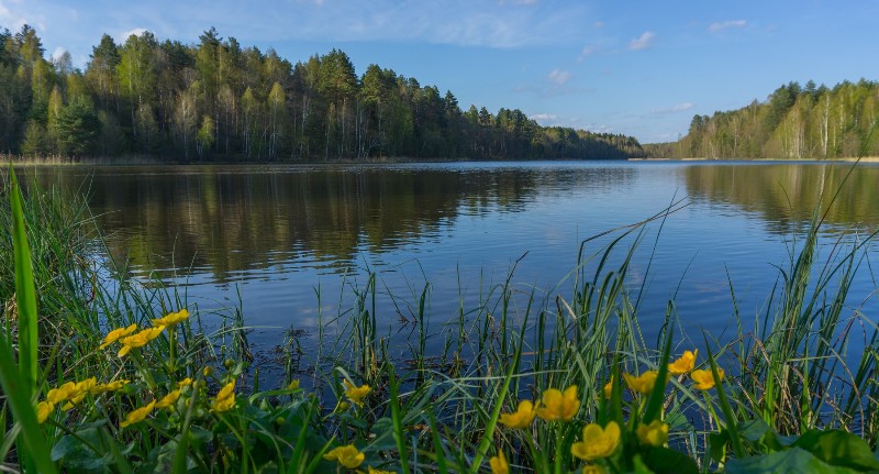 Жертвой паводка и бесхозяйственности стало озеро на границе Жуковского и Брянского районов