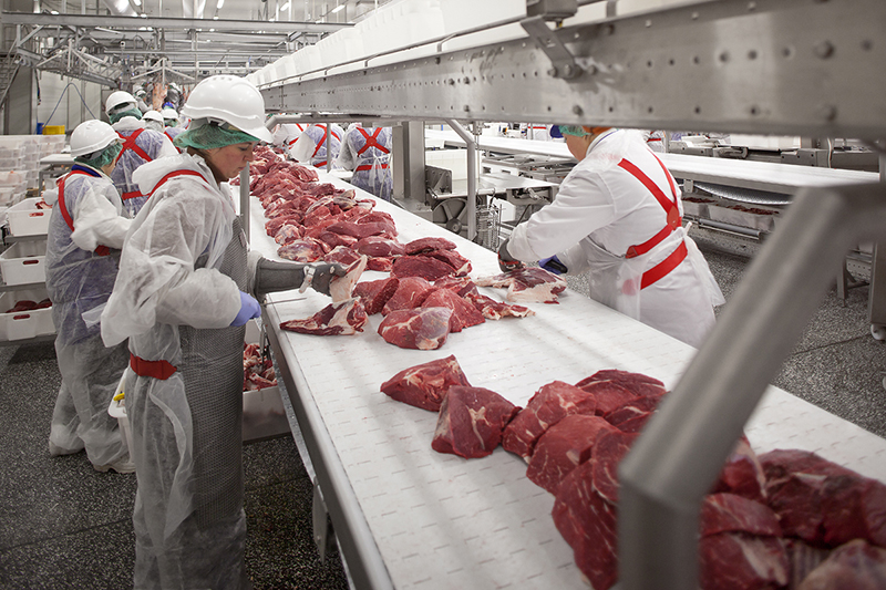«Мираторг» за год инвестировал свыше 13 млн рублей в систему контроля качества на производстве говядины