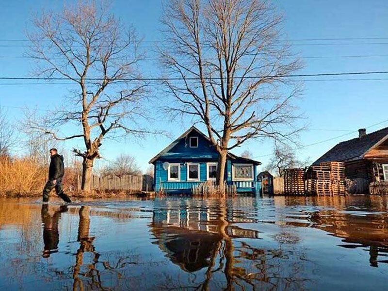 Паводок-2023: в Брянской области затоплено 379 домовладений. На очереди ещё 265