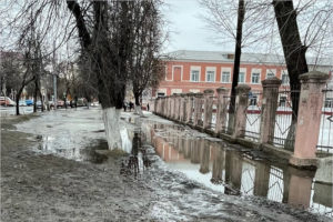 Общественники и горожане натыкали носом власти Брянска в чудовищное болото вокруг школ Бежицкого района