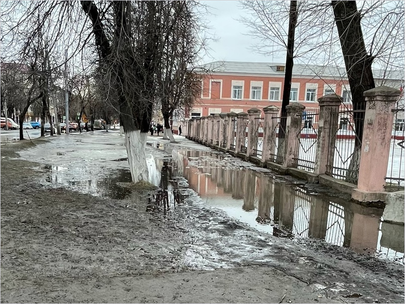 Общественники и горожане натыкали носом власти Брянска в чудовищное болото вокруг школ Бежицкого района