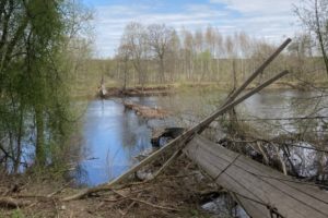 Хотылёвский «самый красивый мост в мире» уничтожен паводком-2023