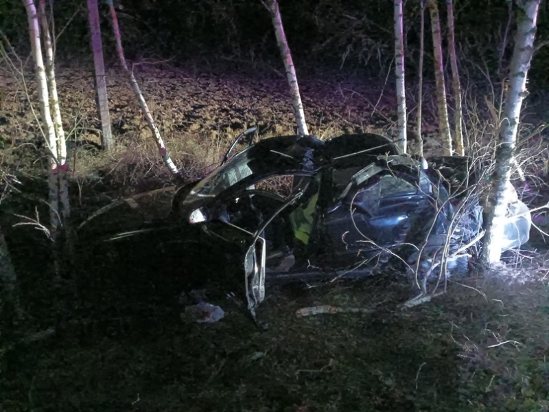 Смерть в ДТП: на местной дороге в Красногорском районе легковушка улетела в дерево