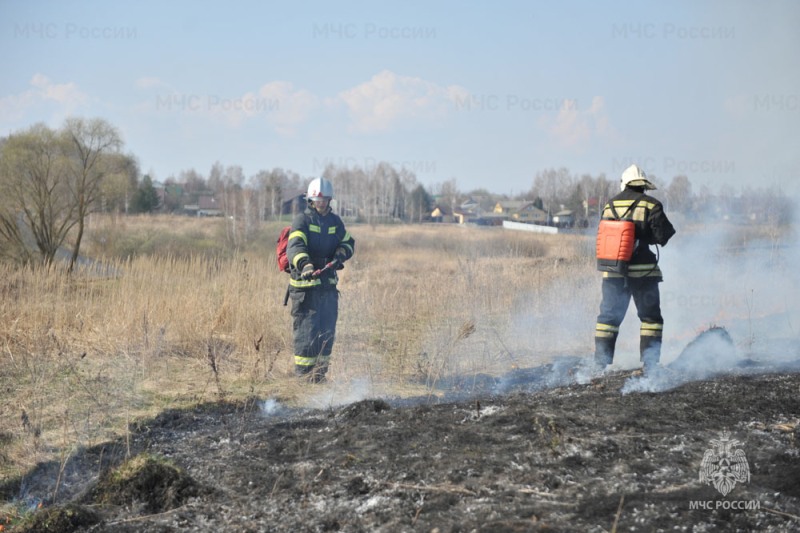 Пожароопасный сезон в лесах вводится на всей территории Брянской области с 11 апреля