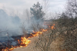 Брянские пожарные тушат за день более 20 палов сухой травы