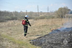 Травяные палы в Брянской области фиксируются с интенсивностью в среднем по 25-26 возгораний в сутки
