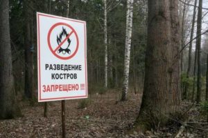 В брянских лесах начинается пожароопасный сезон: с 7 апреля — на юге и юго-западе, с 17 апреля — по всему региону