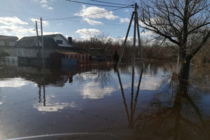 Паводок-2023: уровень воды в черте Брянска за четыре дня упал почти на метр